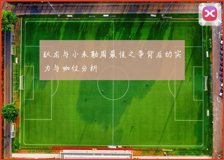 狄龙与小米勒周最佳之争背后的实力与咖位分析