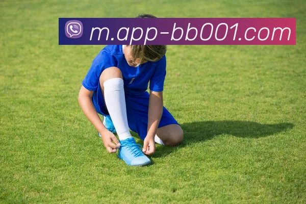 BB体育APP 封面图
